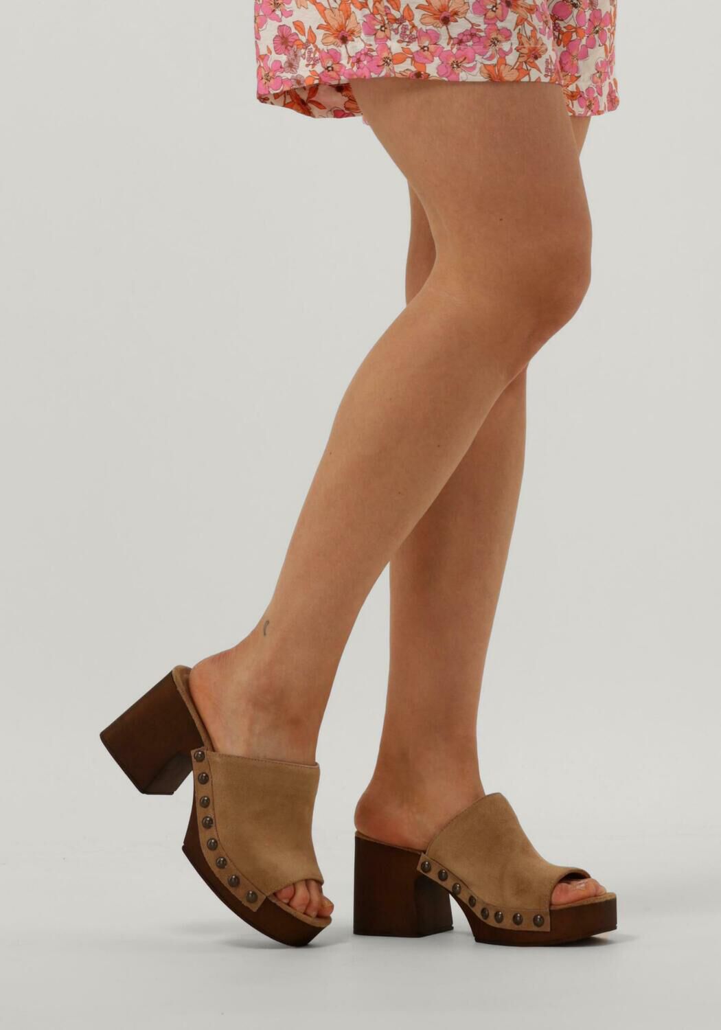 Beige NOTRE-V  06 242 - large