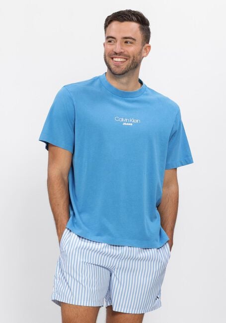CALVIN KLEIN T-shirt SS 20S ACID WASH GRAPHIC CREWNK Bleu clair - large