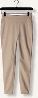 KNIT-TED AMBER PANT KNIT-TED AMBER PANT - medium