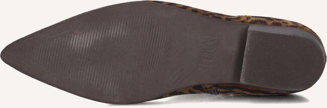 TORAL BELINDA TORAL BELINDA - large