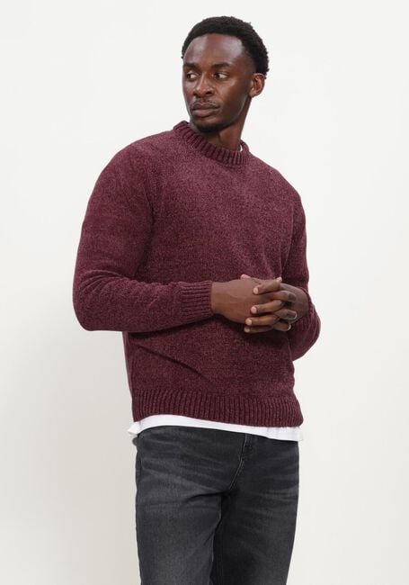 Bordeaux ANERKJENDT Trui AKSUNE CHENILLE KNIT - large