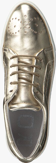 Gouden ROBERTO D'ANGELO Sneakers ELY  - large