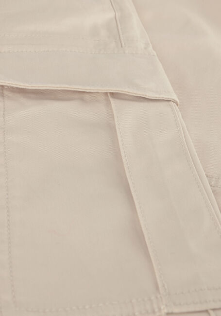 Beige TOMMY JEANS Cargobroeken TJM AUSTIN CARGO Beige TOMMY JEANS Cargobroeken TJM AUSTIN CARGO - large