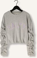 Grijze Salty Stitch Sweater SALTY SWEATER CROPPED Grijze Salty Stitch Sweater SALTY SWEATER CROPPED - medium