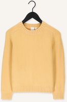 Gele KNIT-TED Trui QUIRINE Gele KNIT-TED Trui QUIRINE - medium