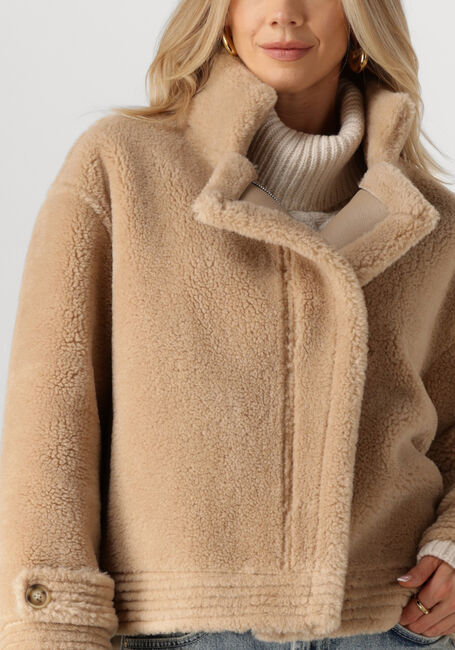 IBANA Jack CHRIS en camel - large