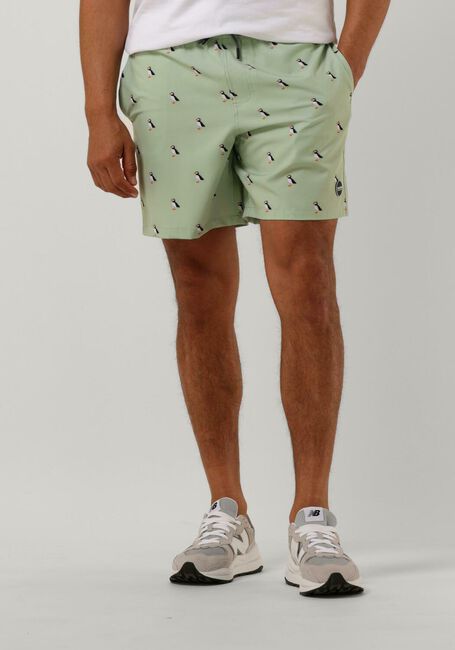 SHIWI Shorts de bain MEN STRETCH SWIMSHORT PUFFIN Menthe - large