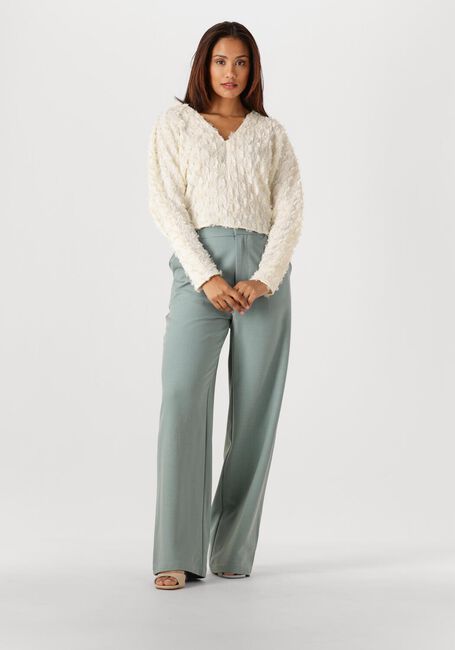 Blauwe AMAYA AMSTERDAM Wijde broek VERA PANTS - large