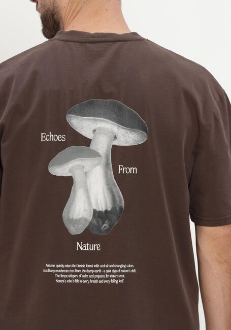 Bruine ANERKJENDT T-shirt AKVILLADS ECHOS SS TEE - large