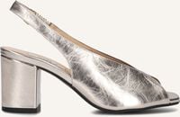 NOTRE-V 16068 NOTRE-V 16068 - medium