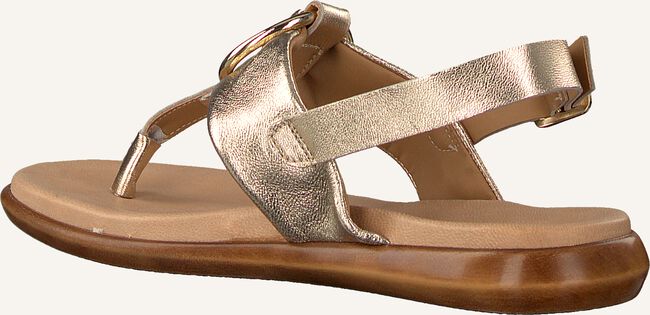 Gouden OMODA Sandalen ASO4/MOD Gouden OMODA Sandalen ASO4/MOD - large