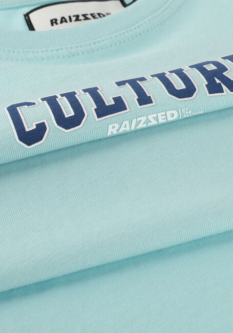 RAIZZED T-shirt SHERIDAN en bleu - large
