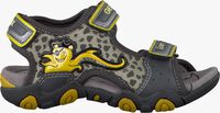 grey GEOX shoe B5231A  - medium