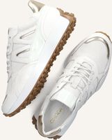 Witte OMODA Sneakers KRONOS Witte OMODA Sneakers KRONOS - medium