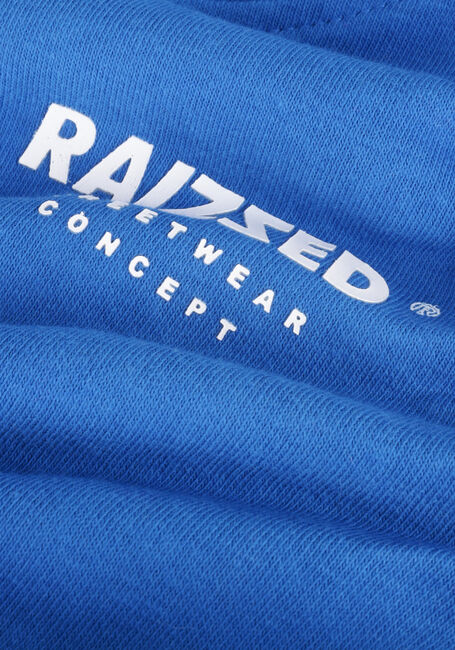Blauwe RAIZZED Sweater WARREN - large