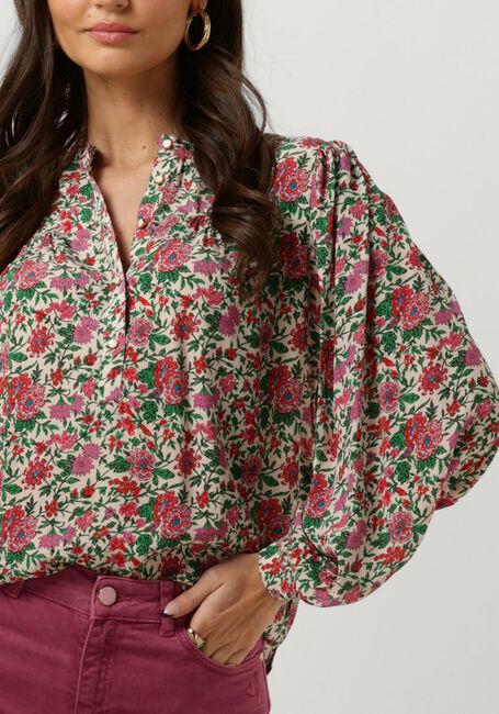Roze MOLIIN  PILAR - large