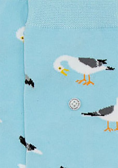 Blauwe ALFREDO GONZALES Beenmode SEAGULL Blauwe ALFREDO GONZALES Beenmode SEAGULL - large