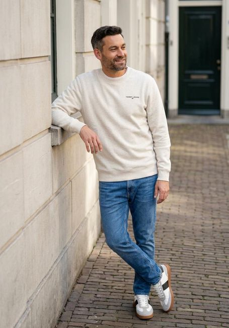 TOMMY JEANS Chandail TJM REG LINEAR CREW EXT en beige - large
