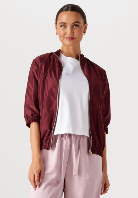 AMAYA AMSTERDAM Jack STORM Bordeaux - large