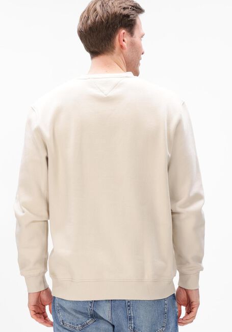 Beige TOMMY JEANS Sweater TJM REG LINEAR CREW EXT - large
