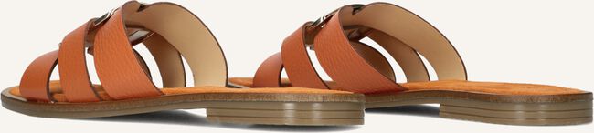 Oranje NOTRE-V Slippers 22718 Oranje NOTRE-V Slippers 22718 - large