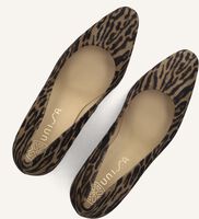 Taupe UNISA  WABA Taupe UNISA  WABA - medium