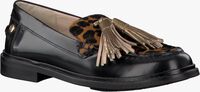 Black TOMMY HILFIGER shoe DORA 1Z  - medium