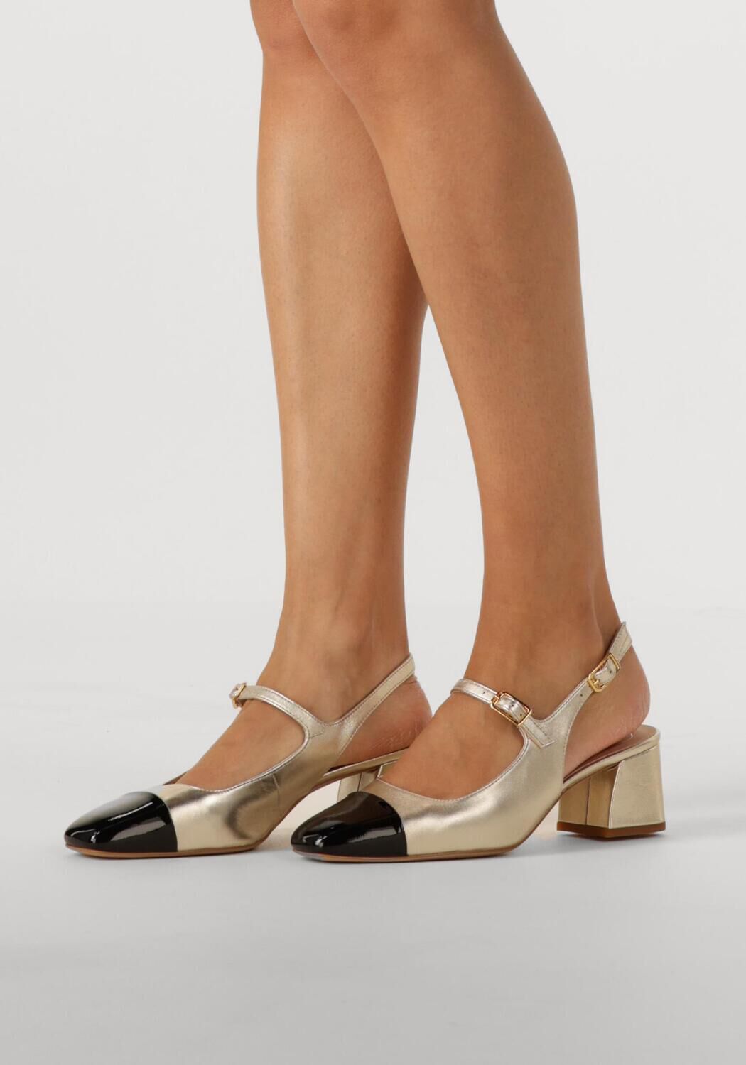 Gouden UNISA  LUMIS - large