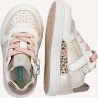 BUNNIESJR LORAN LOUW BUNNIESJR LORAN LOUW - medium