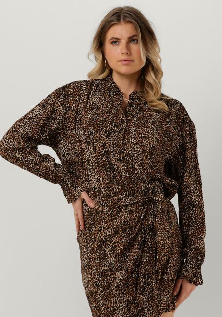 Bruine REFINED DEPARTMENT  ACE - large