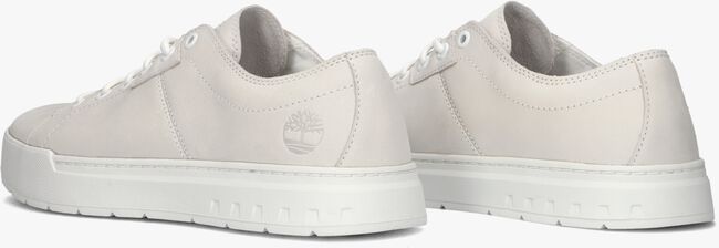 TIMBERLAND MAPLE GROVE LOW Baskets basses en blanc - large