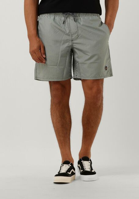 SHIWI Shorts de bain MEN SWIMSHORT SKINNY STRIPE en vert - large