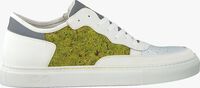 Witte NAT-2 Lage sneakers MOSS GREEN - medium