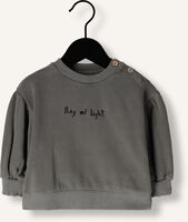 Grijze PLAY UP Sweater FLEECE SWEATER 2 Grijze PLAY UP Sweater FLEECE SWEATER 2 - medium