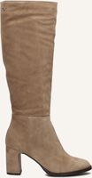 Camel NOTRE-V  AN285 - medium