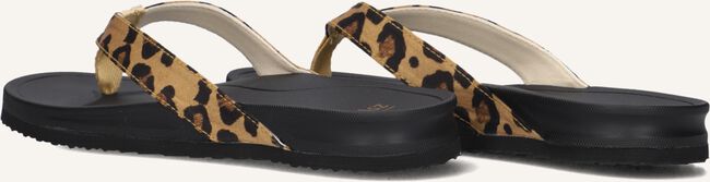 Bruine BLASZ Slippers BELLA 2402 Bruine BLASZ Slippers BELLA 2402 - large