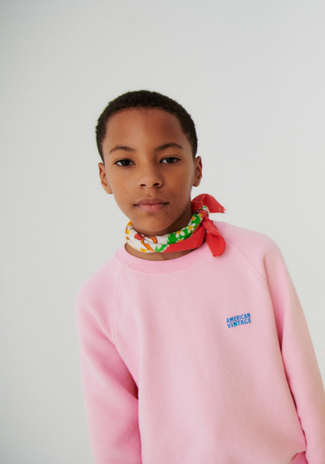 Roze AMERICAN VINTAGE Trui IZUBIRD - large