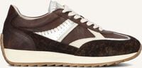 Bruine PIEDI NUDI Sneakers HARLEM - medium