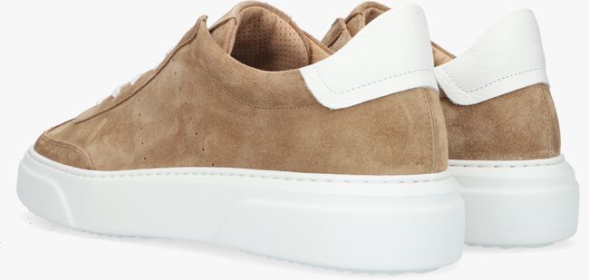Camel GIORGIO Lage sneakers 980137 - large