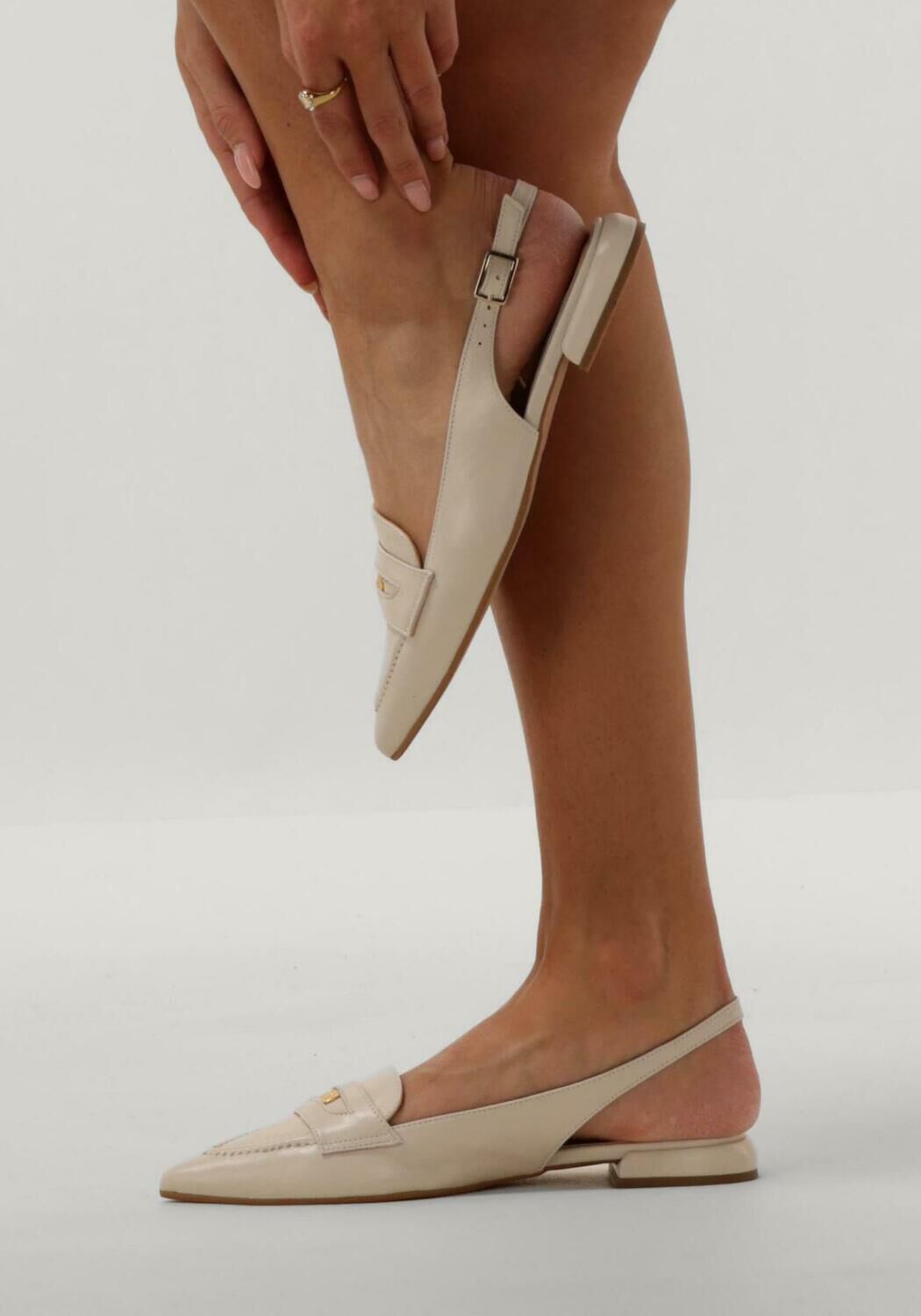 Beige NOTRE-V  12220 - large