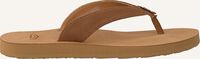 cognac UGG shoe TAWNEY  cognac UGG shoe TAWNEY  - medium