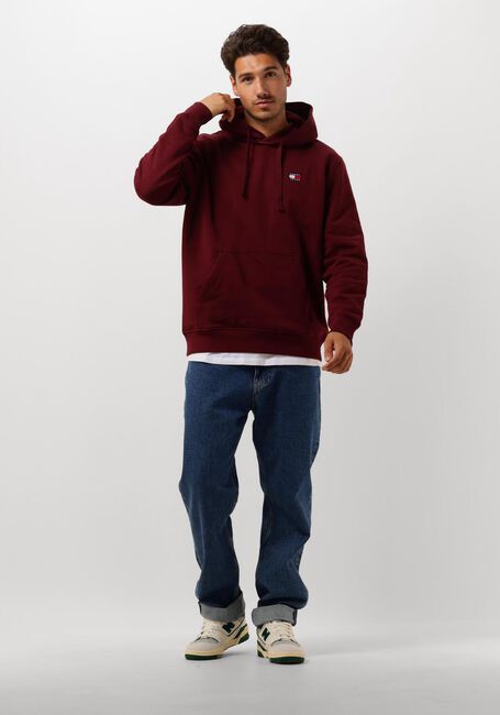 TOMMY JEANS Chandail TJM REG BADGE HOODIE EXT en violet - large