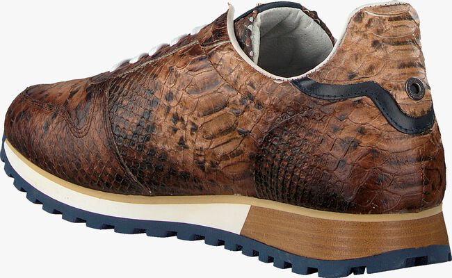 Cognac GIORGIO Lage sneakers HE09514 - large