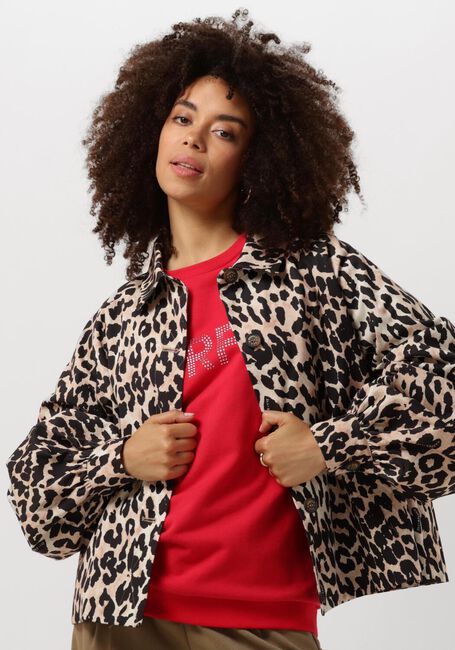 HARPER & YVE Jack RYLEE-CO en marron - large
