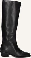 TORAL 12777 - medium