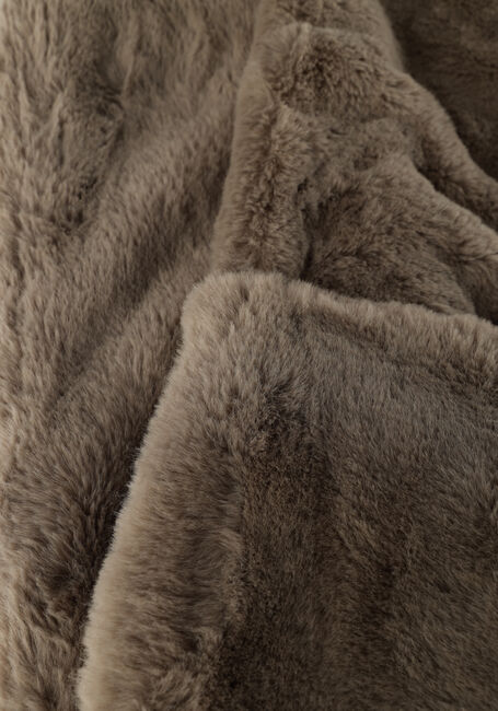 BEAUMONT HANNY SCARF Foulard en taupe - large