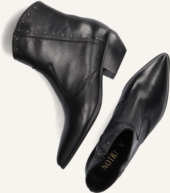 NOTRE-V AR231 NOTRE-V AR231 - large