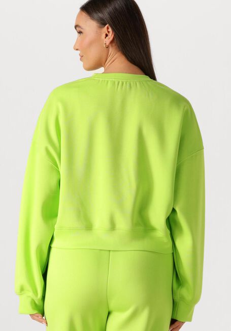 Groene STUDIO AMAYA Truien/vesten 261-ST6 - large