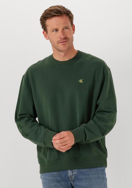 CALVIN KLEIN Chandail LS EU 350TERRY MONOGRAM CN SWEAT Vert foncé - large