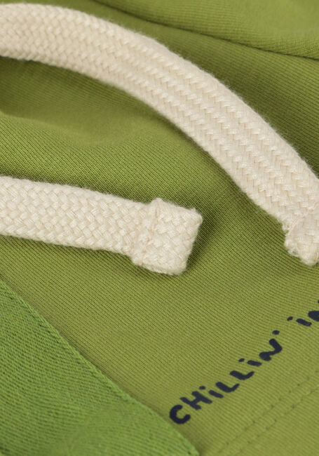 Groene YOUR WISHES Korte broek SOLID CARGO SHORTS Groene YOUR WISHES Korte broek SOLID CARGO SHORTS - large